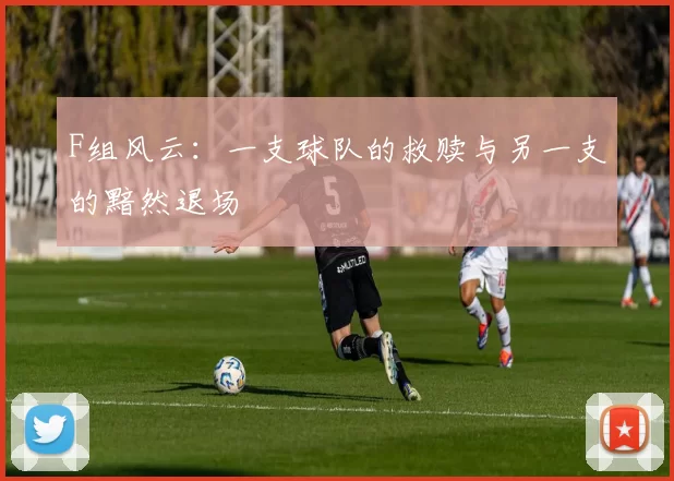 F组风云：一支球队的救赎与另一支的黯然退场