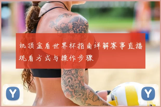 机顶盒看世界杯指南详解赛事直播观看方式与操作步骤