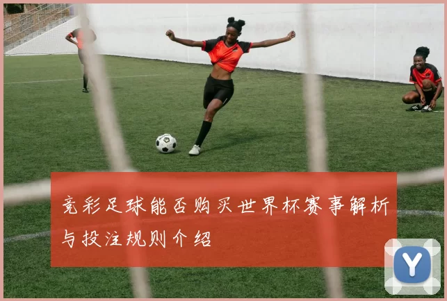 竞彩足球能否购买世界杯赛事解析与投注规则介绍