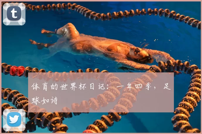 体育的世界杯日记:一年四季,足球如诗