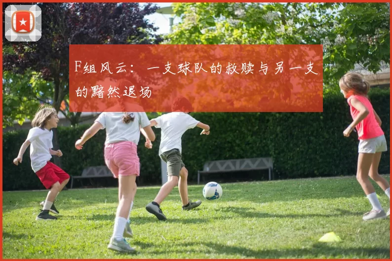 F组风云：一支球队的救赎与另一支的黯然退场