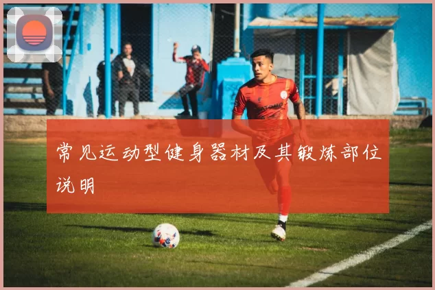 常见运动型健身器材及其锻炼部位说明