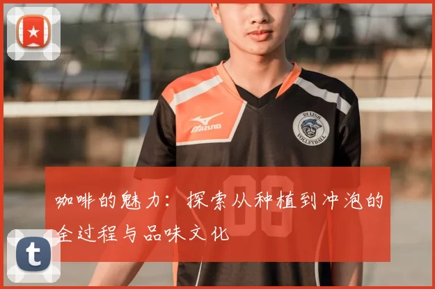 咖啡的魅力：探索从种植到冲泡的全过程与品味文化