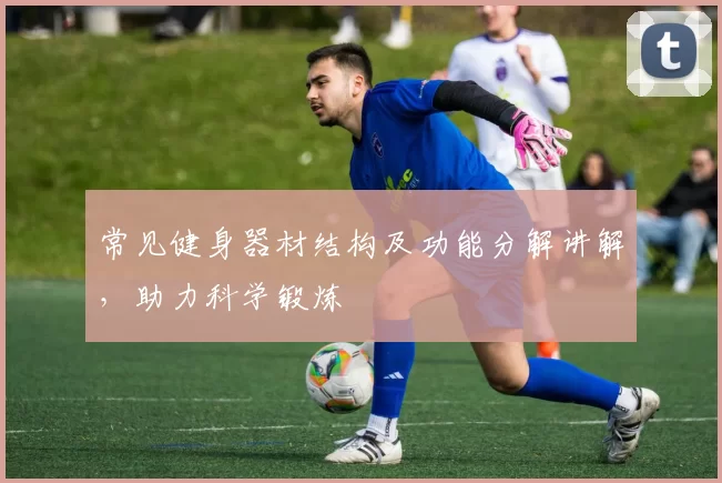 常见健身器材结构及功能分解讲解，助力科学锻炼