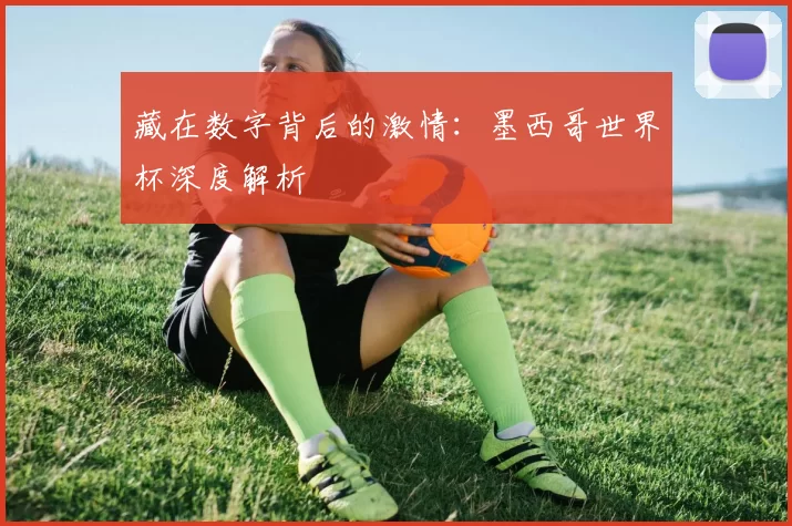 藏在数字背后的激情:墨西哥世界杯深度解析