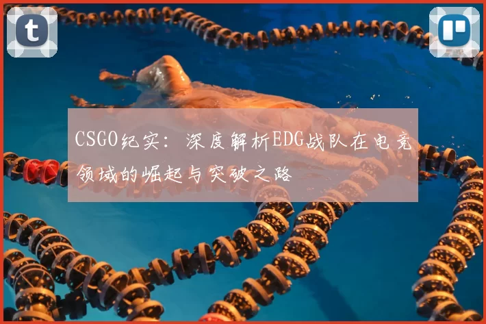 CSGO纪实：深度解析EDG战队在电竞领域的崛起与突破之路