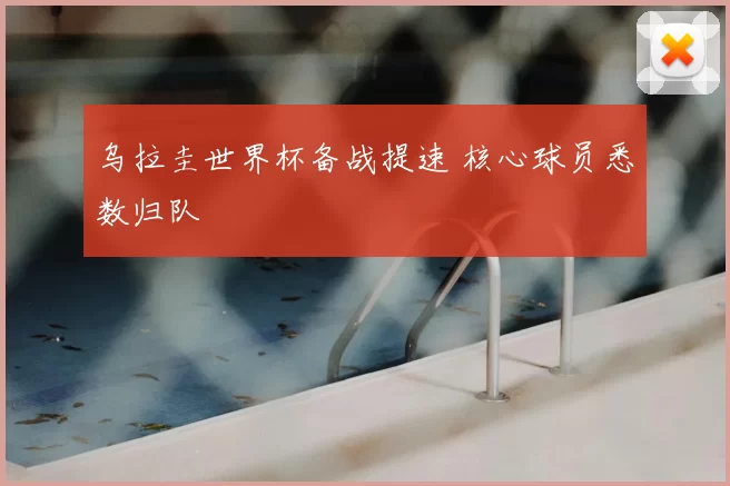 乌拉圭世界杯备战提速 核心球员悉数归队