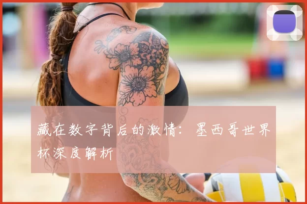 藏在数字背后的激情:墨西哥世界杯深度解析