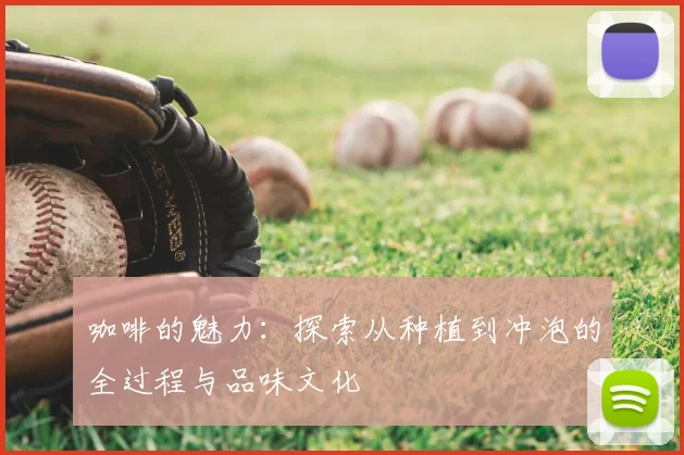 咖啡的魅力：探索从种植到冲泡的全过程与品味文化